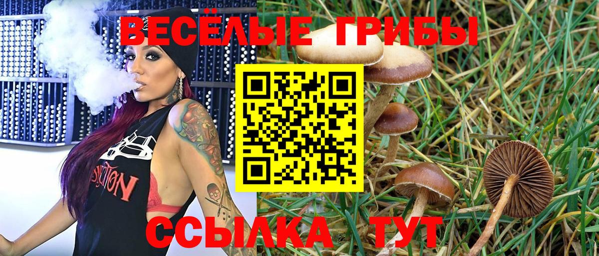 Псилоцибиновые грибы GOLDEN TEACHER  купить наркоту  Вход с VPN  Благодарный  Псилоцибиновые грибы GOLDEN TEACHER 